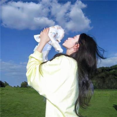 夏日天空的那匹红马